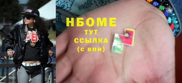 стаф Аркадак