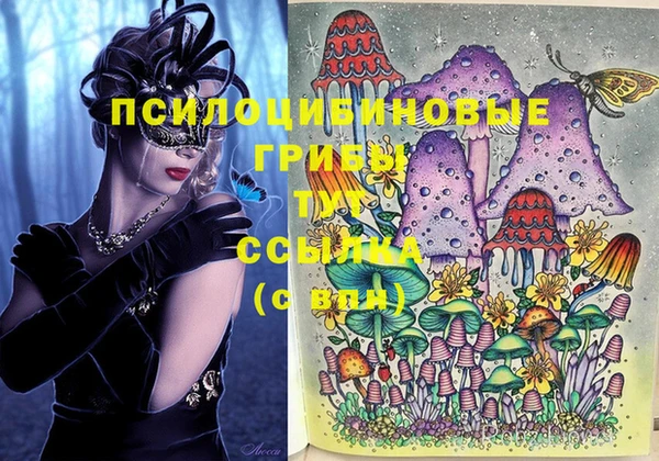 прущие крисы Армянск