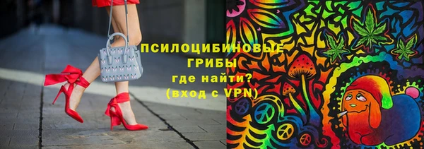 стаф Аркадак