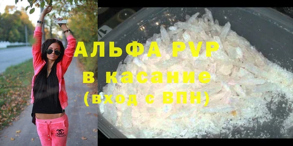 стаф Аркадак